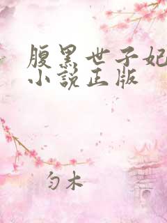 腹黑世子妃日常小说正版