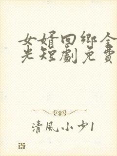 女婿回乡全村风光短剧免费播放