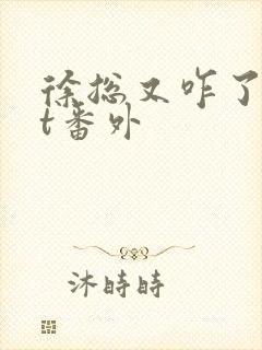 徐总又咋了txt番外