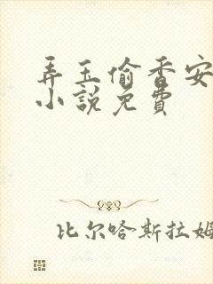 弄玉偷香安二虎小说免费
