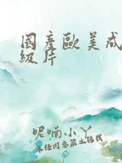 国产欧美成人一级片