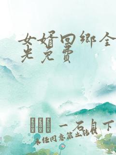 女婿回乡全村风光免费