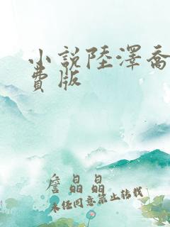 小说陆泽乔熏免费版