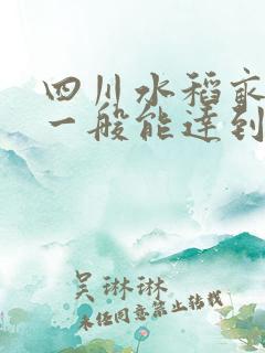 四川水稻亩产量一般能达到多少