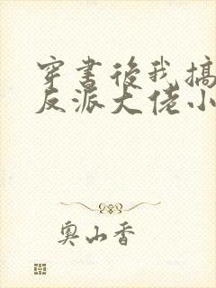 穿书后我搞到了反派大佬小说