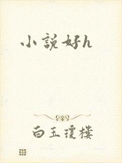 小说好h