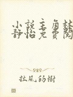 小说主角林皓李静怡免费阅读