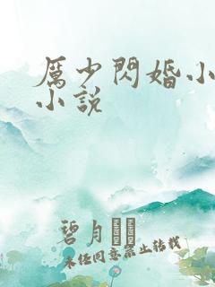 厉少闪婚小萌妻小说