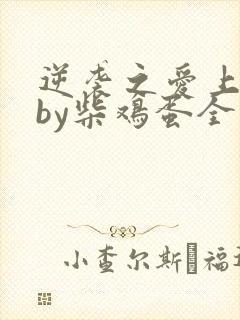 逆袭之爱上情敌by柴鸡蛋全文阅读