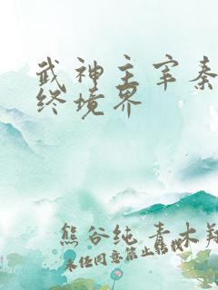 武神主宰秦尘最终境界