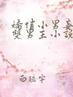 娇俏小男妾by双男主小说推荐