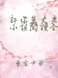 许你万丈光芒好小说阅读全部