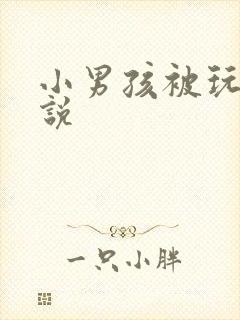 小男孩被玩弄小说