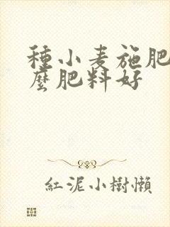 种小麦施肥用什么肥料好