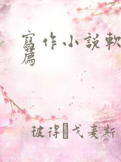 写作小说软件推荐