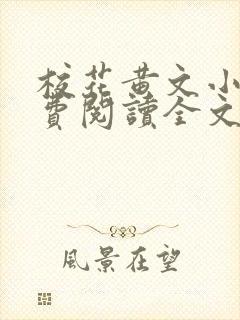 校花黄文小说免费阅读全文