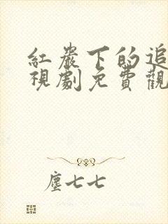 红岩下的追捕电视剧免费观看