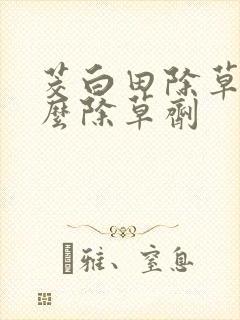 茭白田除草用什么除草剂