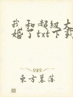 我和超级大佬隐婚了txt下载