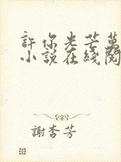 许你光芒万丈好小说在线阅读