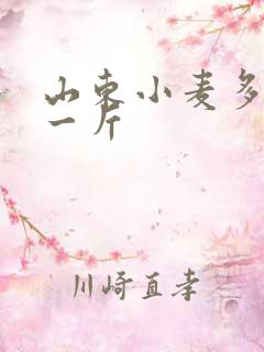 山东小麦多少钱一斤