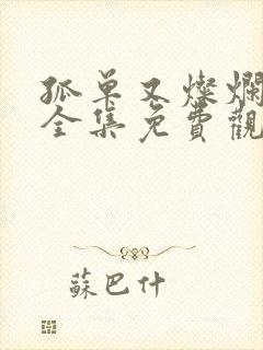 孤单又灿烂的神全集免费观看