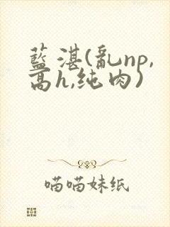 蓝湛(乱np,高h,纯肉)