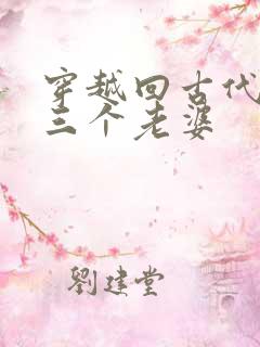 穿越回古代娶了三个老婆