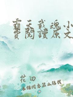 霸天武魂小说免费阅读原文