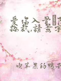 爱你入骨·隐婚总裁,请签字免费阅读