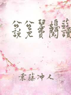 公公儿媳苏玥小说免费阅读