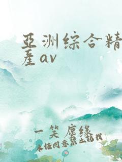 亚洲综合精品国产av