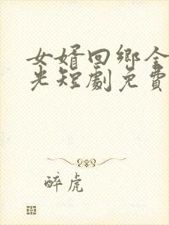 女婿回乡全村风光短剧免费播放