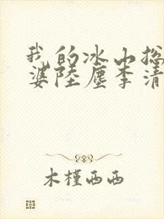 我的冰山总裁老婆陆尘李清瑶