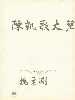陈凯歌大儿子