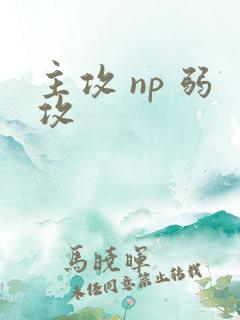 主攻 np 弱攻