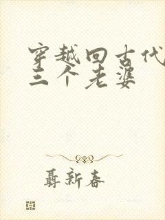穿越回古代娶了三个老婆