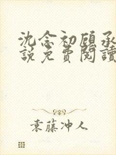 沈念初顾承安小说免费阅读
