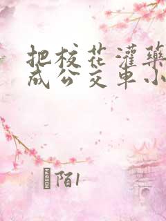 把校花灌药调教成公交车小说