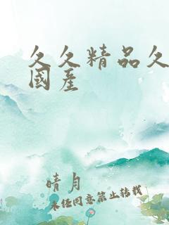 久久精品久久久国产