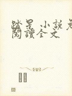 踏星 小说免费阅读全文