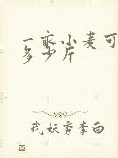 一亩小麦可以产多少斤