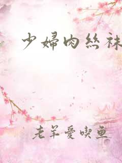 少妇肉丝袜小说