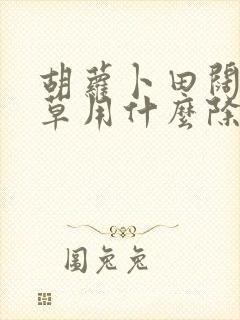 胡萝卜田阔叶杂草用什么除草剂