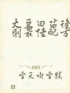 大豆田苗后除草剂最佳配方