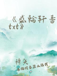 《盛轮轩番外篇txt》
