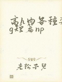 高h肉各种姿势g短篇np