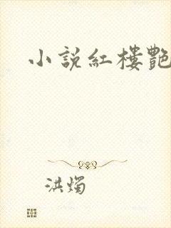 小说红楼艳梦