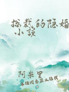 总裁的隐婚罪妻 小说