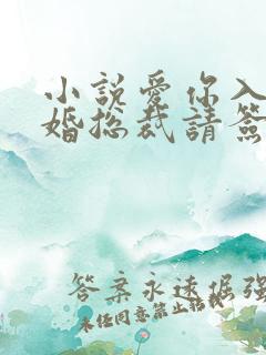 小说爱你入骨隐婚总裁请签字